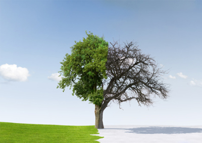 Budgeting and money management strategies to get through the better times and the leaner times.